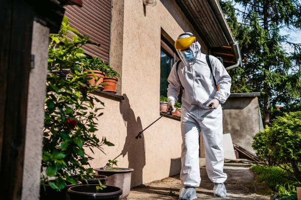 Best Bed Bug Extermination  in Milliken, CO