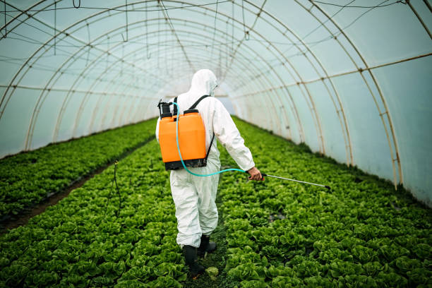 Best Pest Control for Restaurants  in Milliken, CO